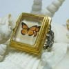 butterfly frame ring